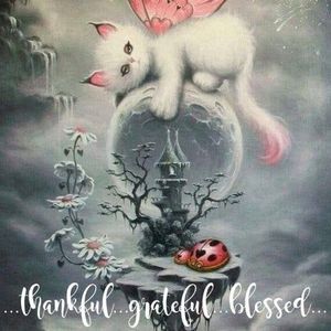 Meet your Posher, Carol